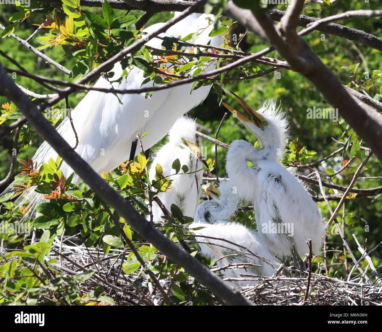 Muppet babies hi-res stock photography and images - Alamy
