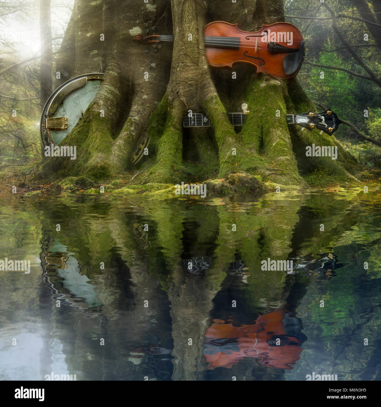 Living Roots -Banjo & Fiddle Stock Photo