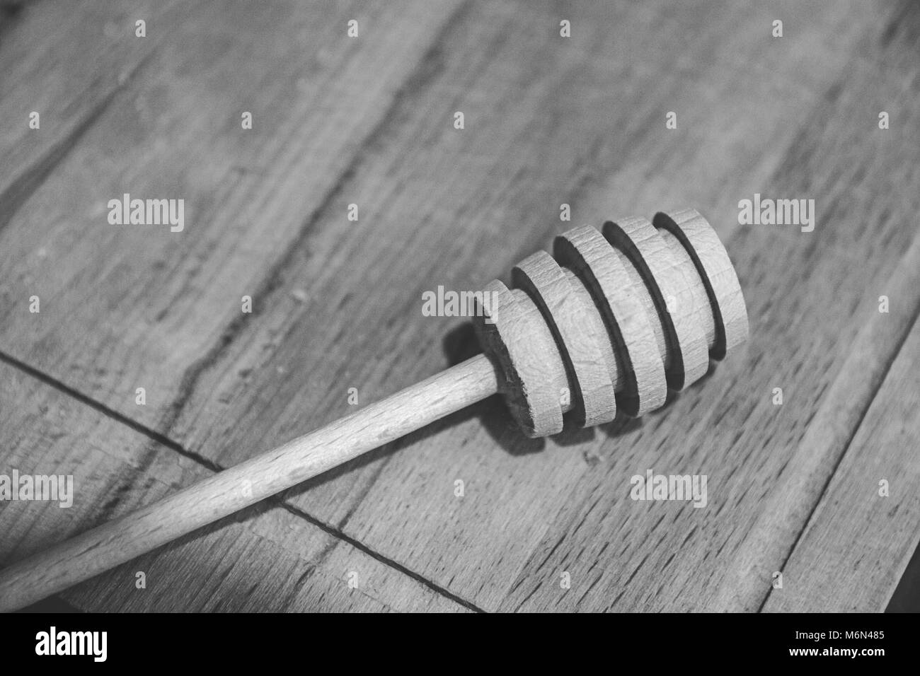 Honey Bee Black and White Stock Photos & Images - Alamy