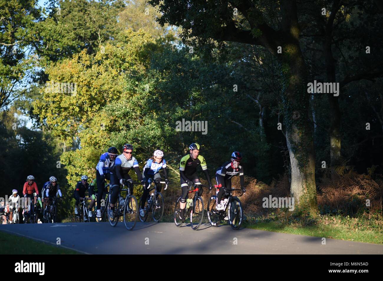 Multi Rider Bicycle Marathon Bike ride, Multiple riders in countryside Stock Photo - Alamy