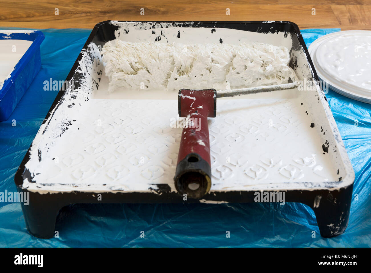 Roller For Painting The Walls And Ceiling In Paint Tray Painting