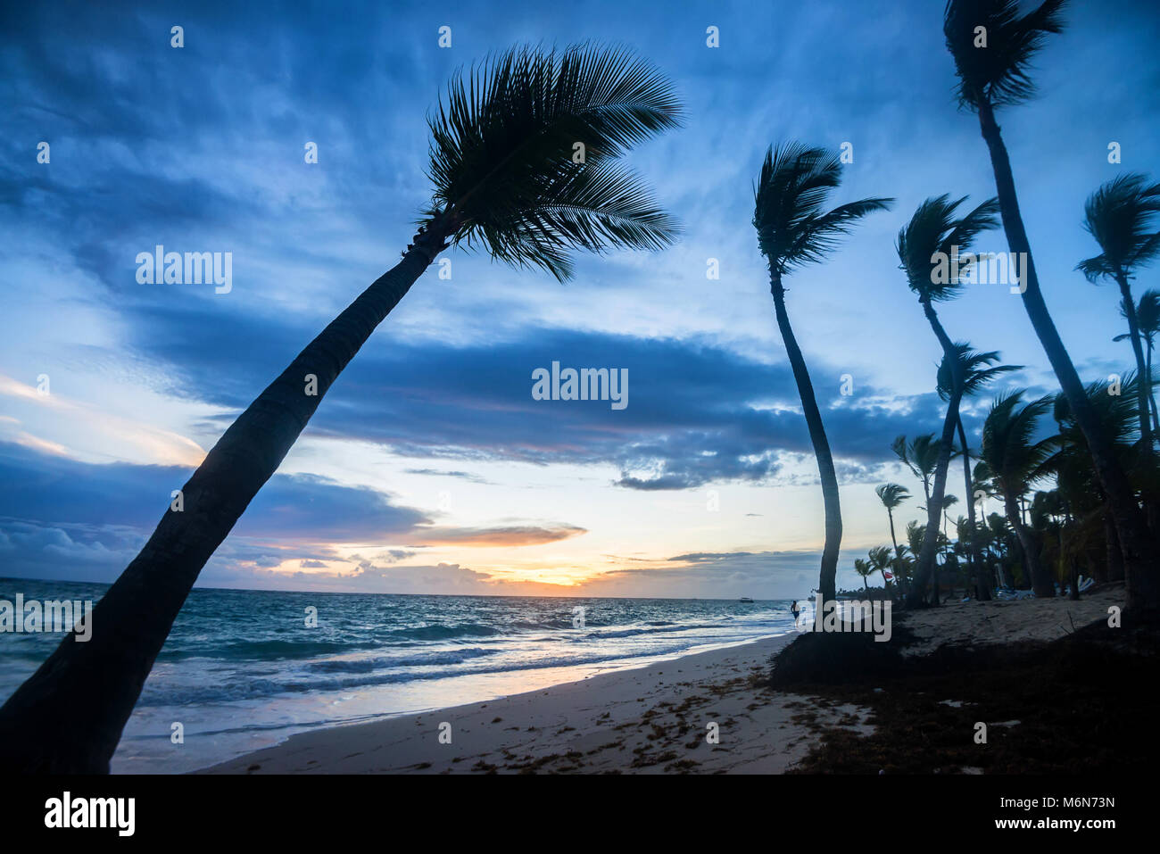 Tropical beach with palm trees and ocean Stock Photo - Alamy