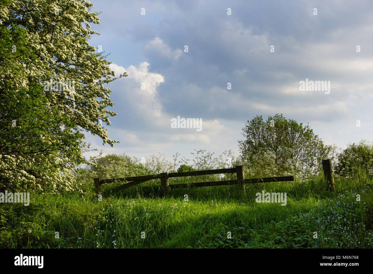 A half broken fence on the edge of fields in the Bilton Hall Lane area