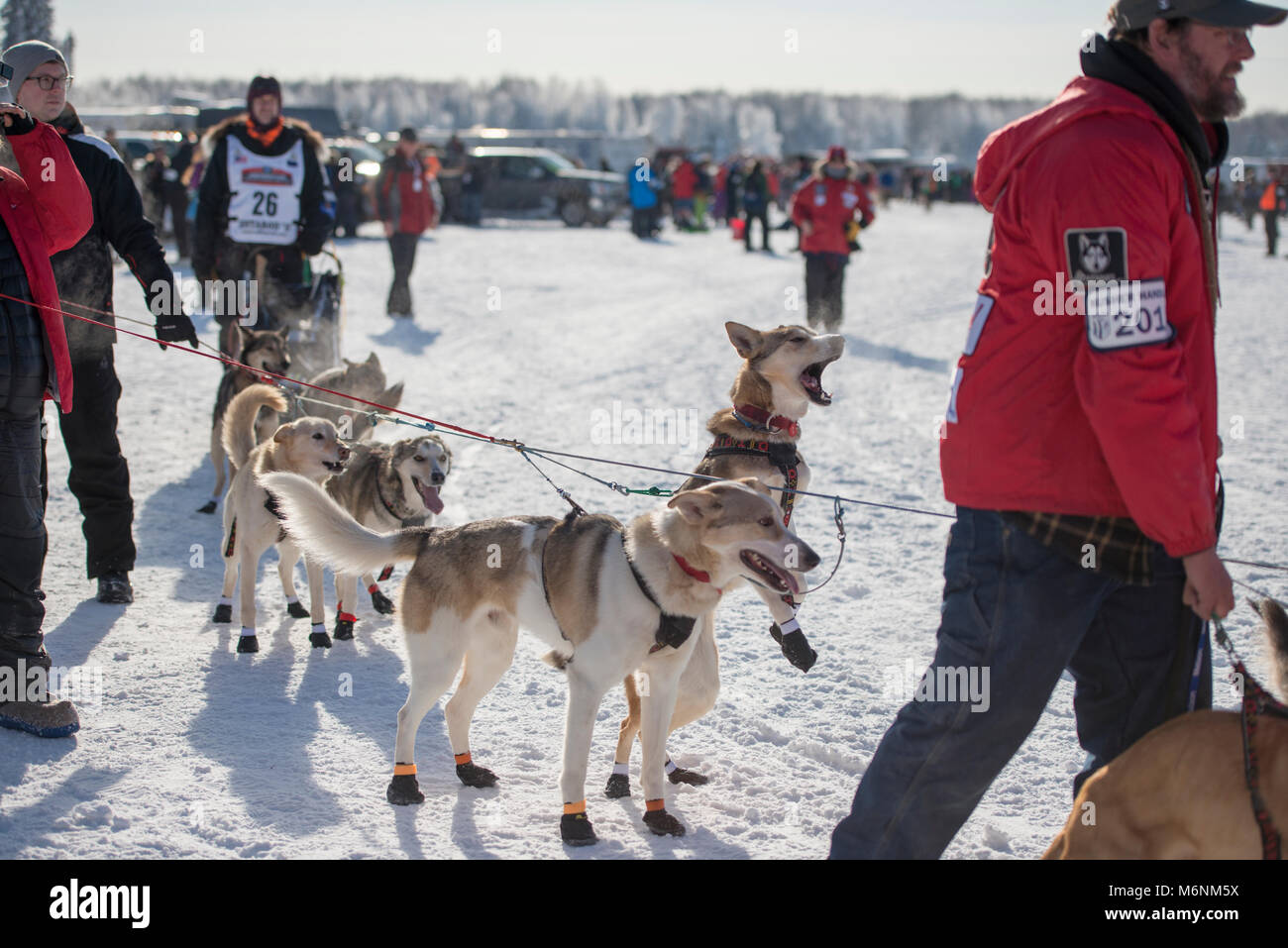 Willow, Alaska, USA. 4th Mar, 2018. Allen Moore of Two Rivers, AK, USA