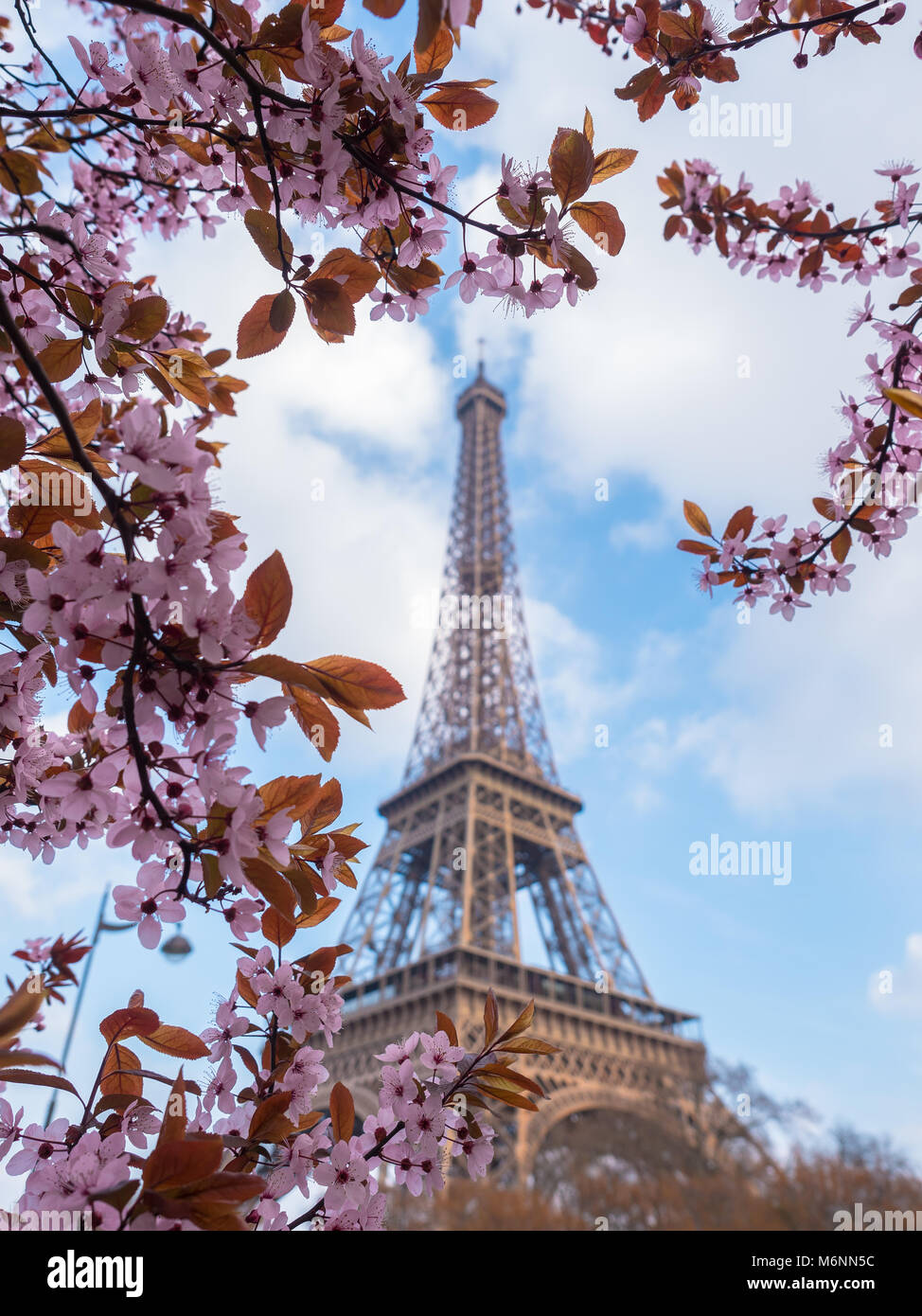 Paris Spring Time Image Beautiful spring time in Paris Stock Photo - Alamy