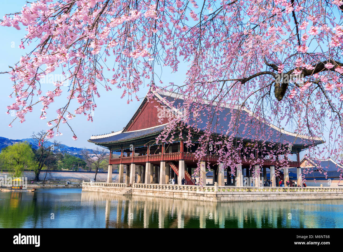 Gyeongbokgung Palace in spring