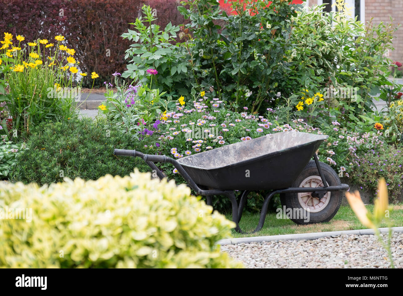Wheelbarrow in a garden Stock Photo Alamy