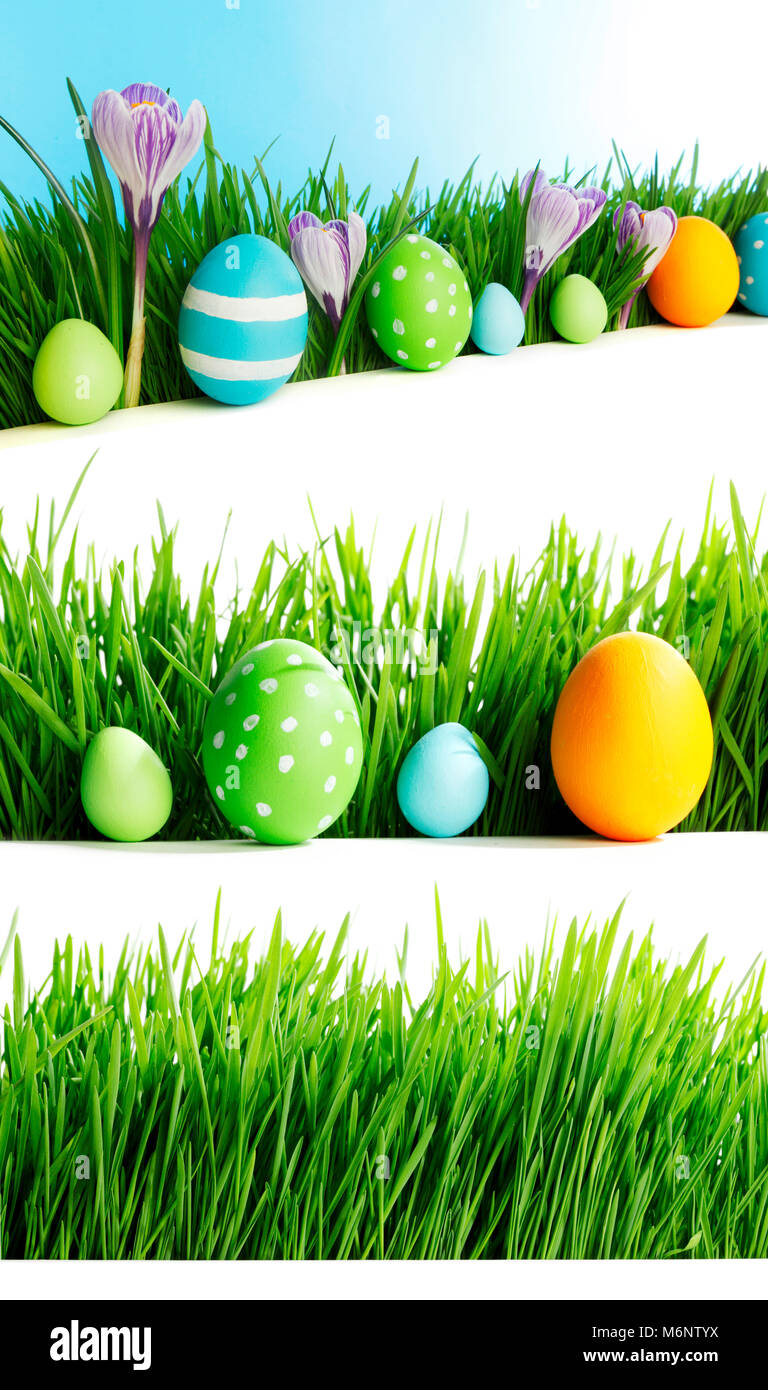 Set of easter eggs in fresh green grass isolated on white background ...