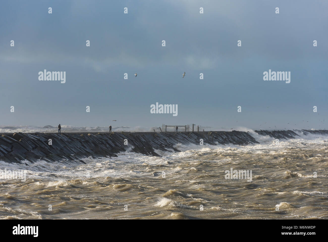 Storm at the North Sea at the Zuidpier at IJmuiden in Noord-Holland with three men. Stock Photo