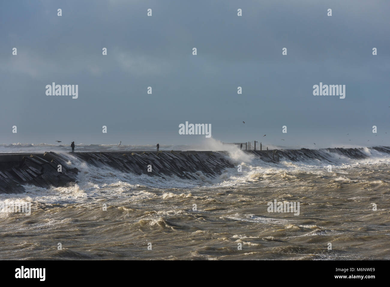 Storm at the North Sea at the Zuidpier at IJmuiden in Noord-Holland with three men. Stock Photo