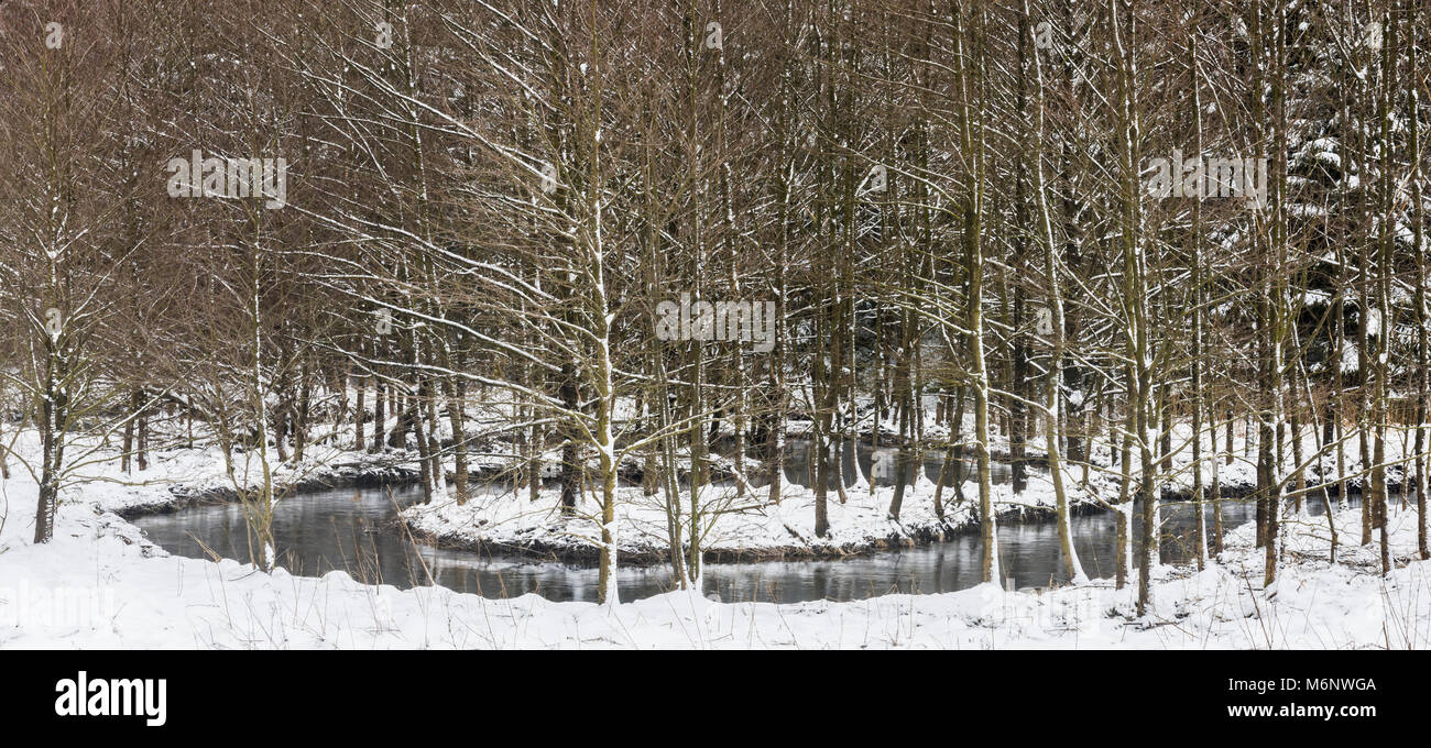 warme Bode, River in Harz National Park in wintertime with snow. Stock Photo