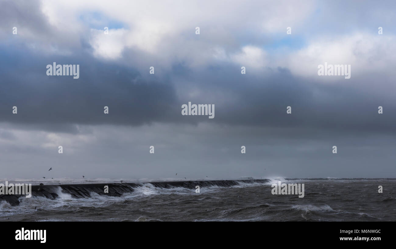 Storm at the North Sea at the Zuidpier at IJmuiden in Noord-Holland. Stock Photo