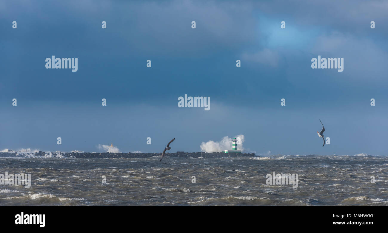 Storm at the North Sea at the Zuidpier at IJmuiden in Noord-Holland. Stock Photo