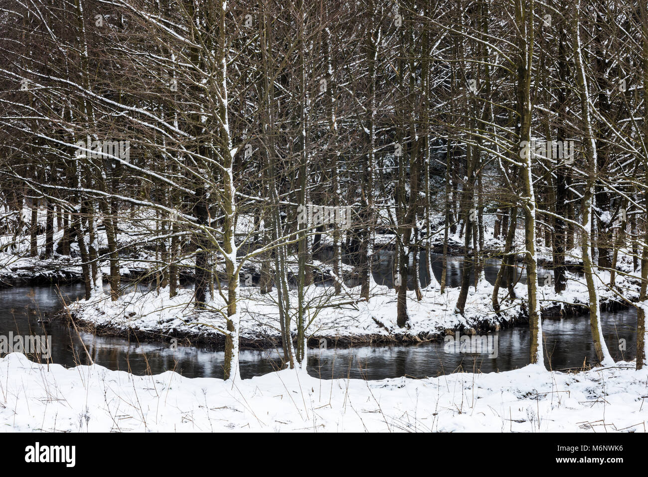 warme Bode, River in Harz National Park in wintertime with snow. Stock Photo