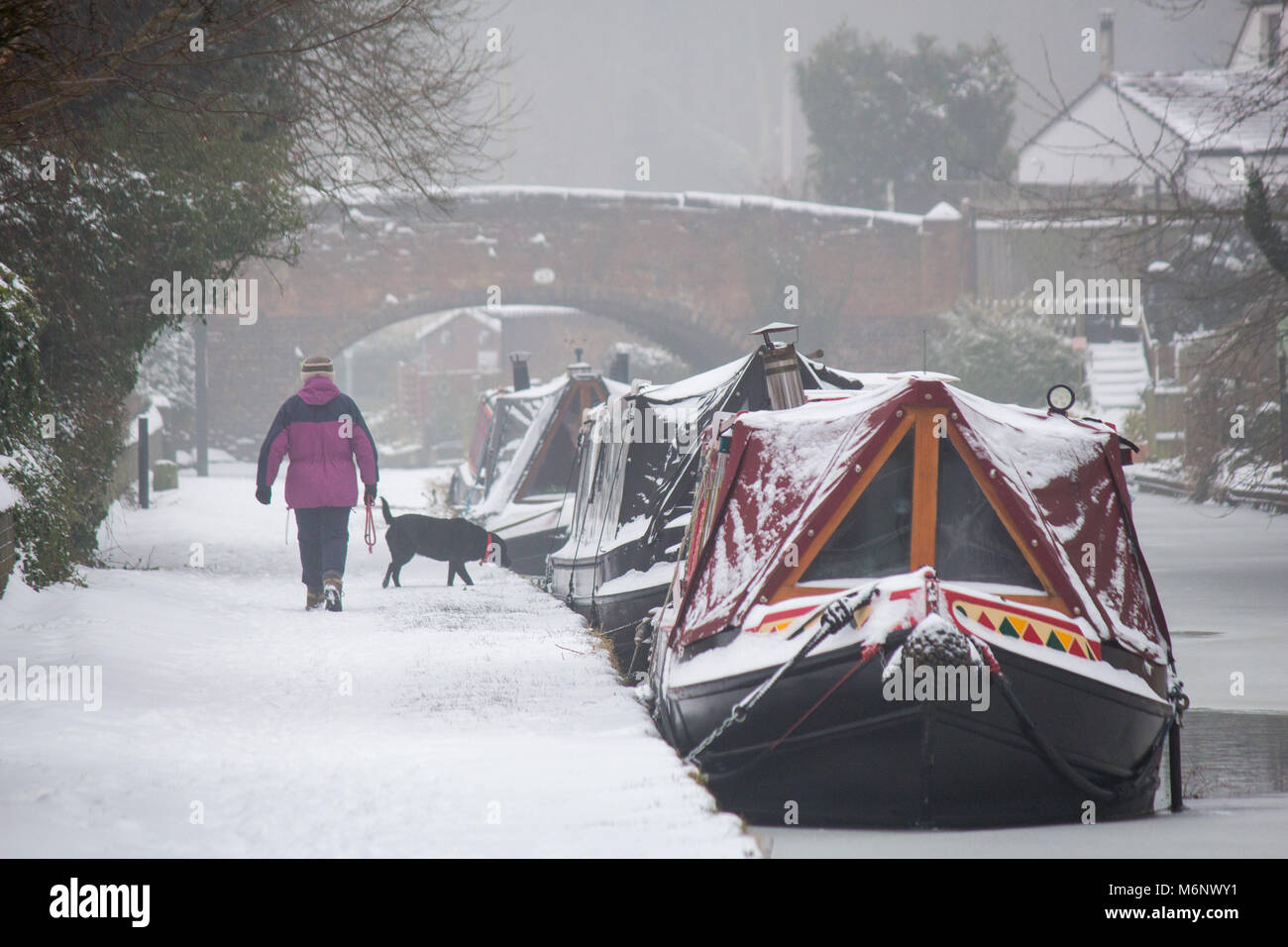 Canal boats, barges, narrow boats covered in snow on the Coventry canal, near Atherstone, Warwickshire Stock Photo