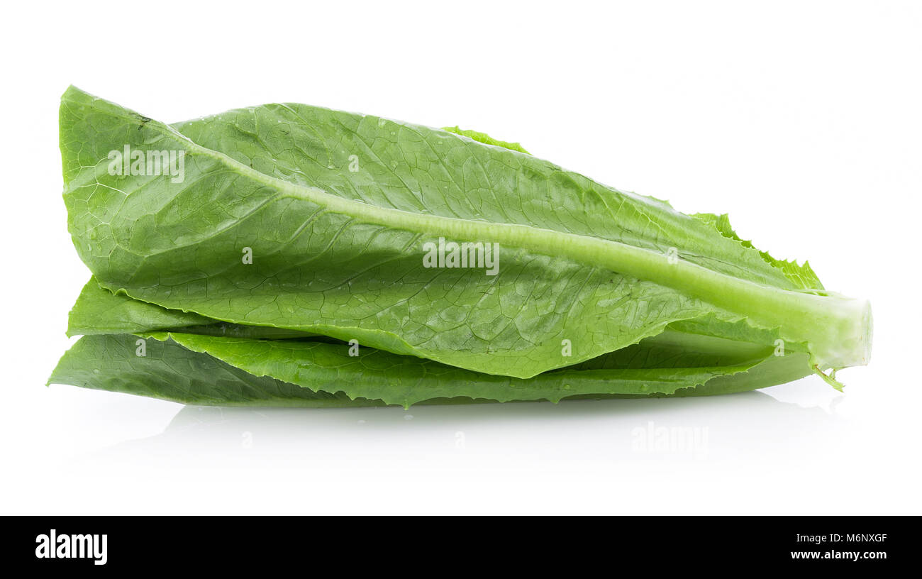 fresh cos lettuce isolated on white background Stock Photo