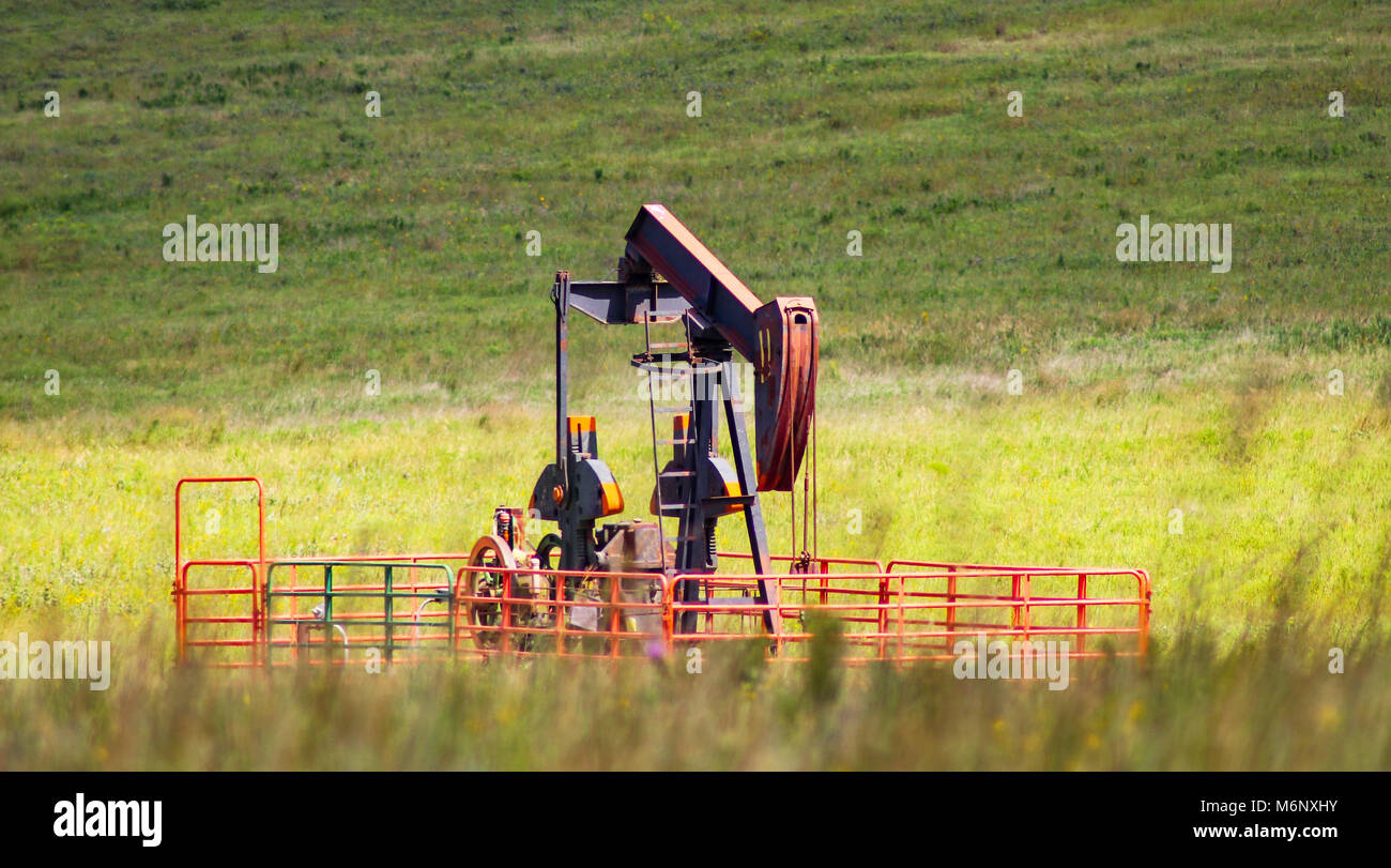 Working pump jack in green field with out of focus grass and flower in front - selective focus Stock Photo