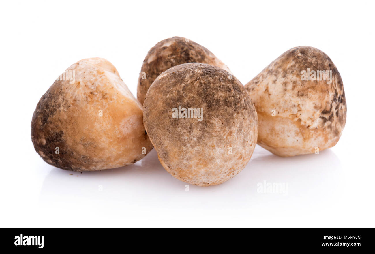 Straw mushrooms isolated on white background Stock Photo
