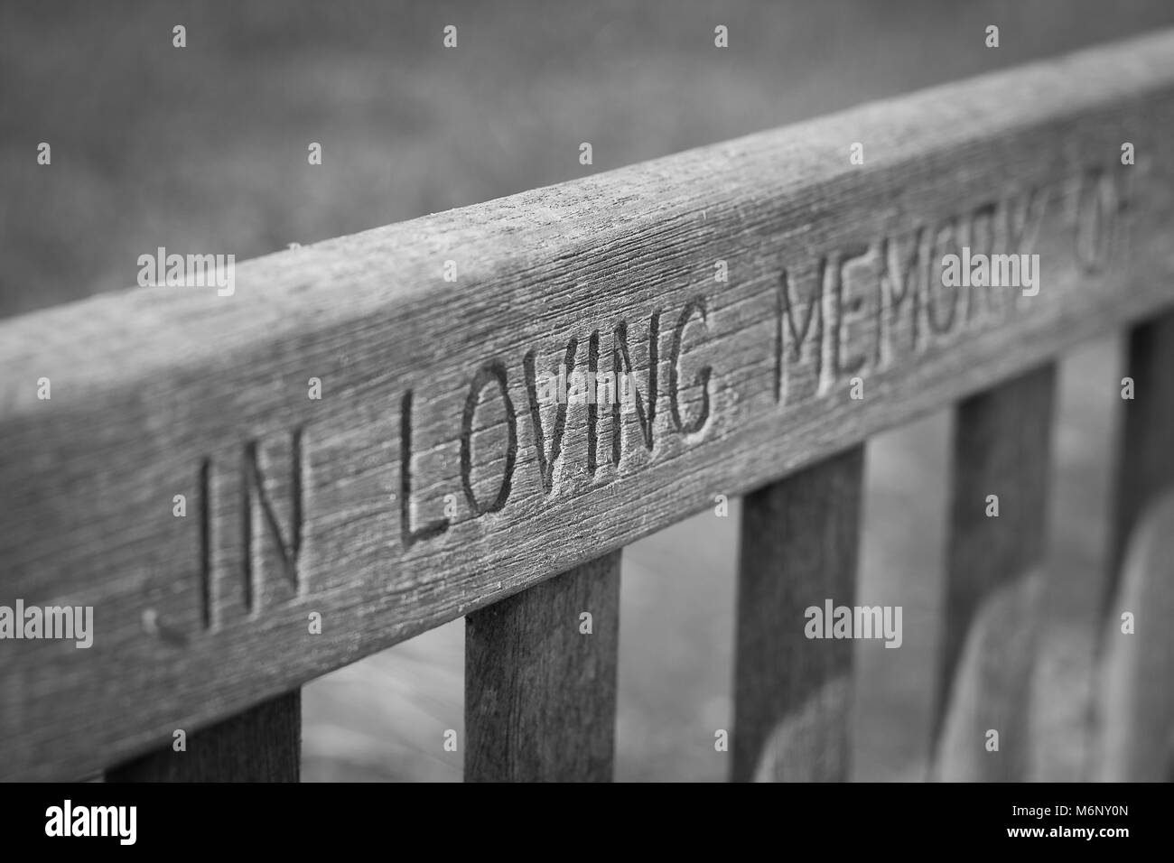 In loving memory of our Cut Out Stock Images & Pictures - Alamy