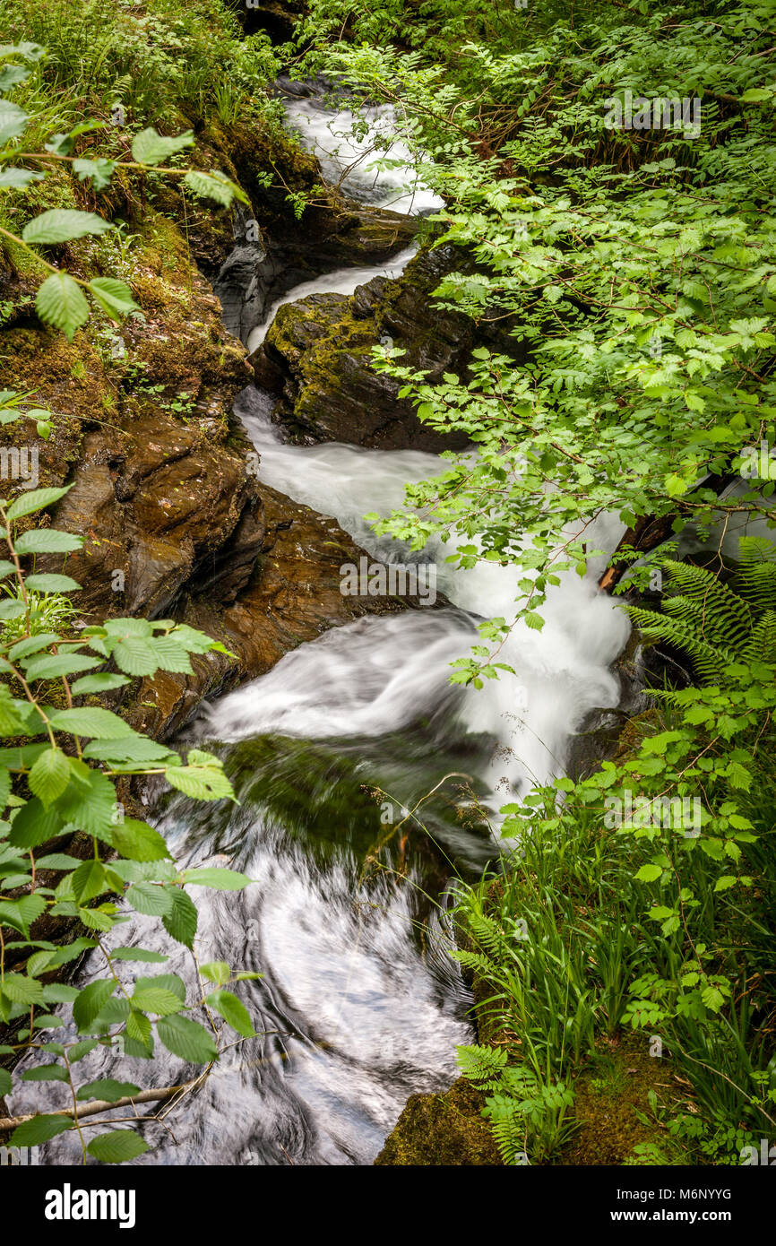 The River Lyd cascading down stepped waterfalls at Lydford Gorge near Okehampton in Devon UK Stock Photo