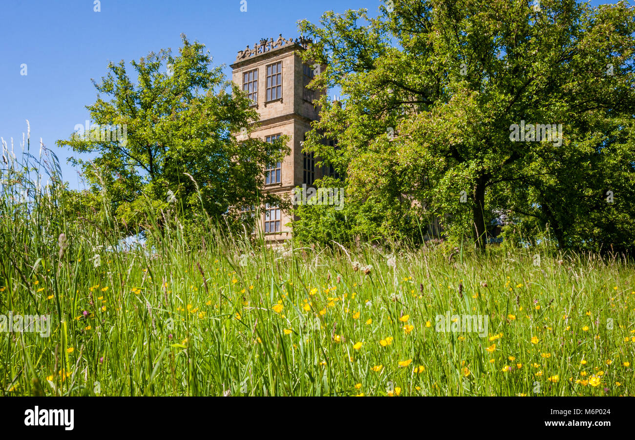 View of Hardwick Hall in Derbyshire UK from the orchard garden with fruit trees and wildflower meadow Stock Photo