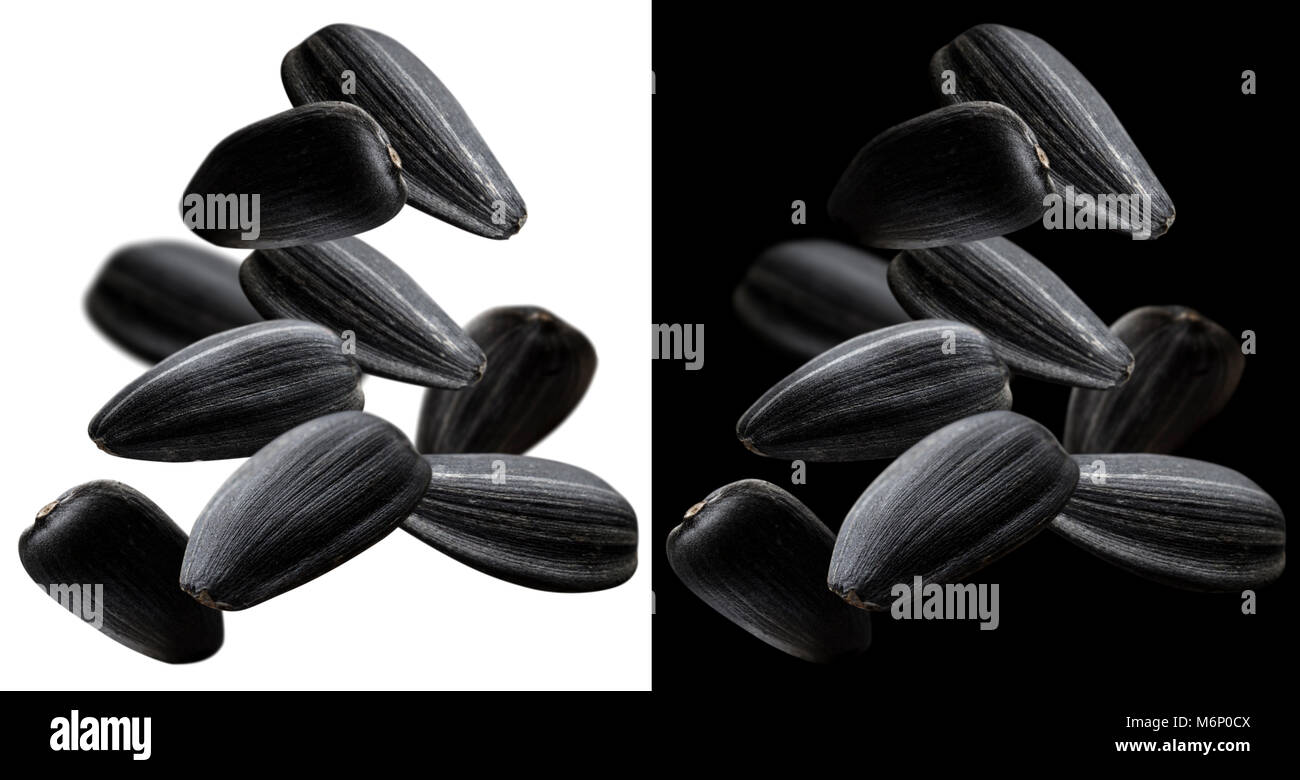 Falling black sunflower seeds isolated on white background Stock Photo ...