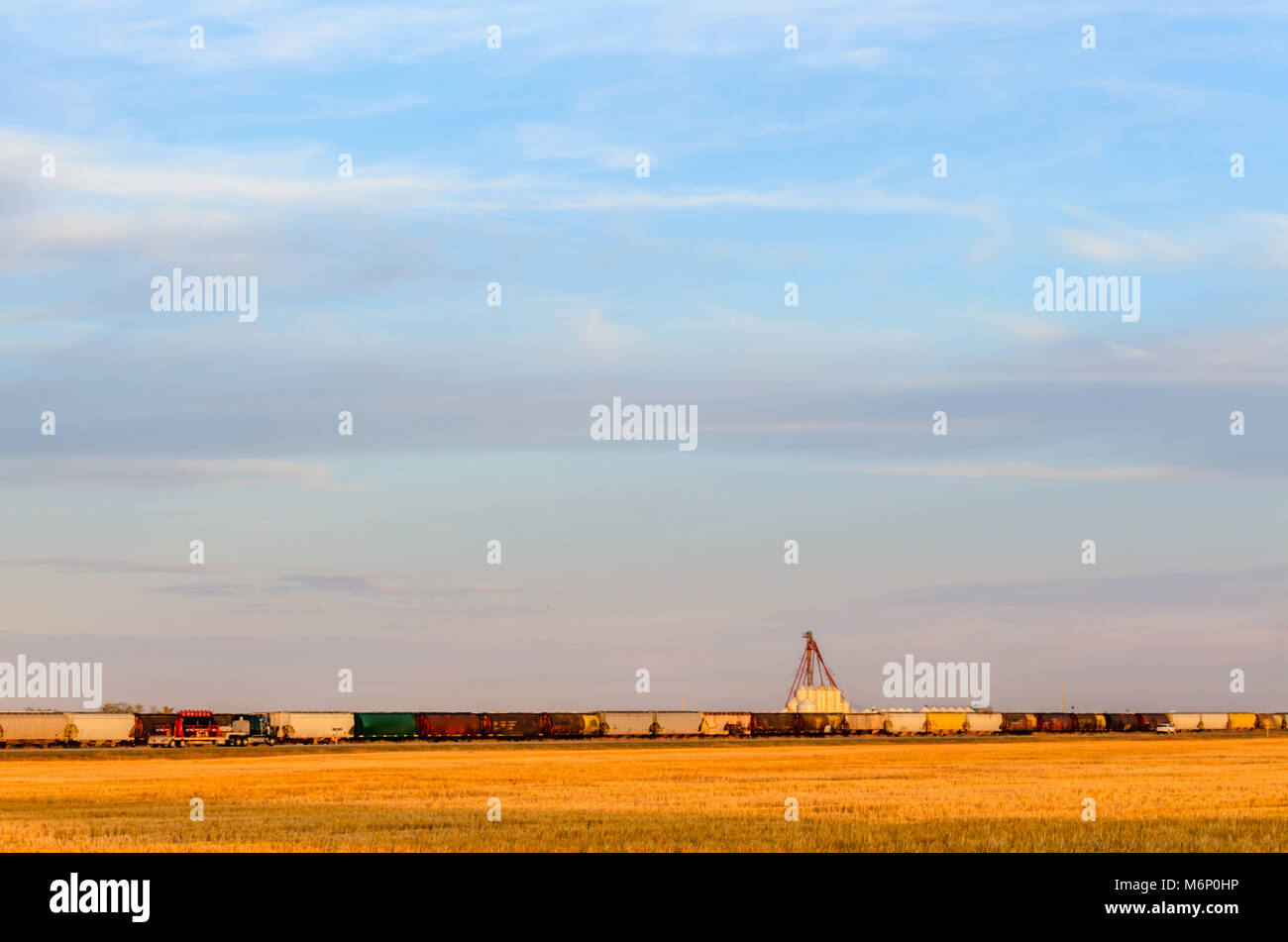 a yellow wheat field, railway cars, trucks traveling along the road, a grain terminal under a huge blue sky with purple clouds on a hot August evening Stock Photo