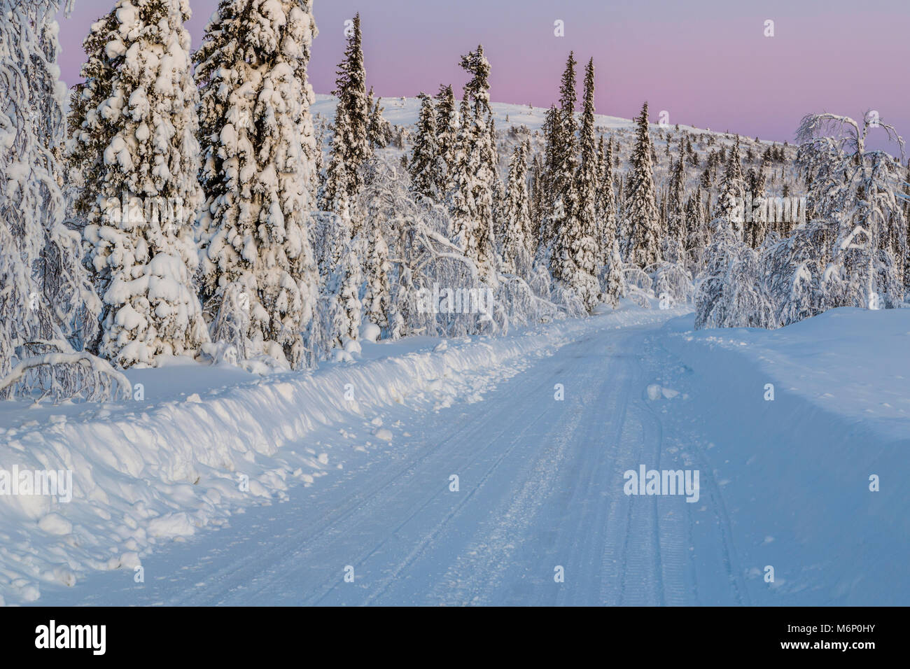 Winter landscape with a road in the forest at sundown with snowy trees ...