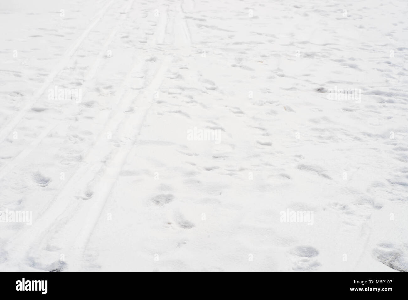 winter snow background with ski traces adn foot prints Stock Photo - Alamy