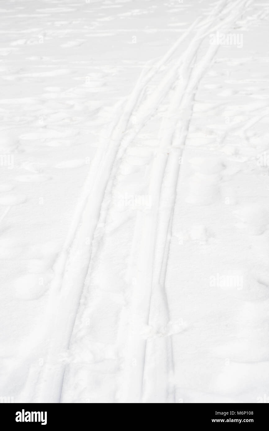 winter snow background with ski traces adn foot prints Stock Photo - Alamy