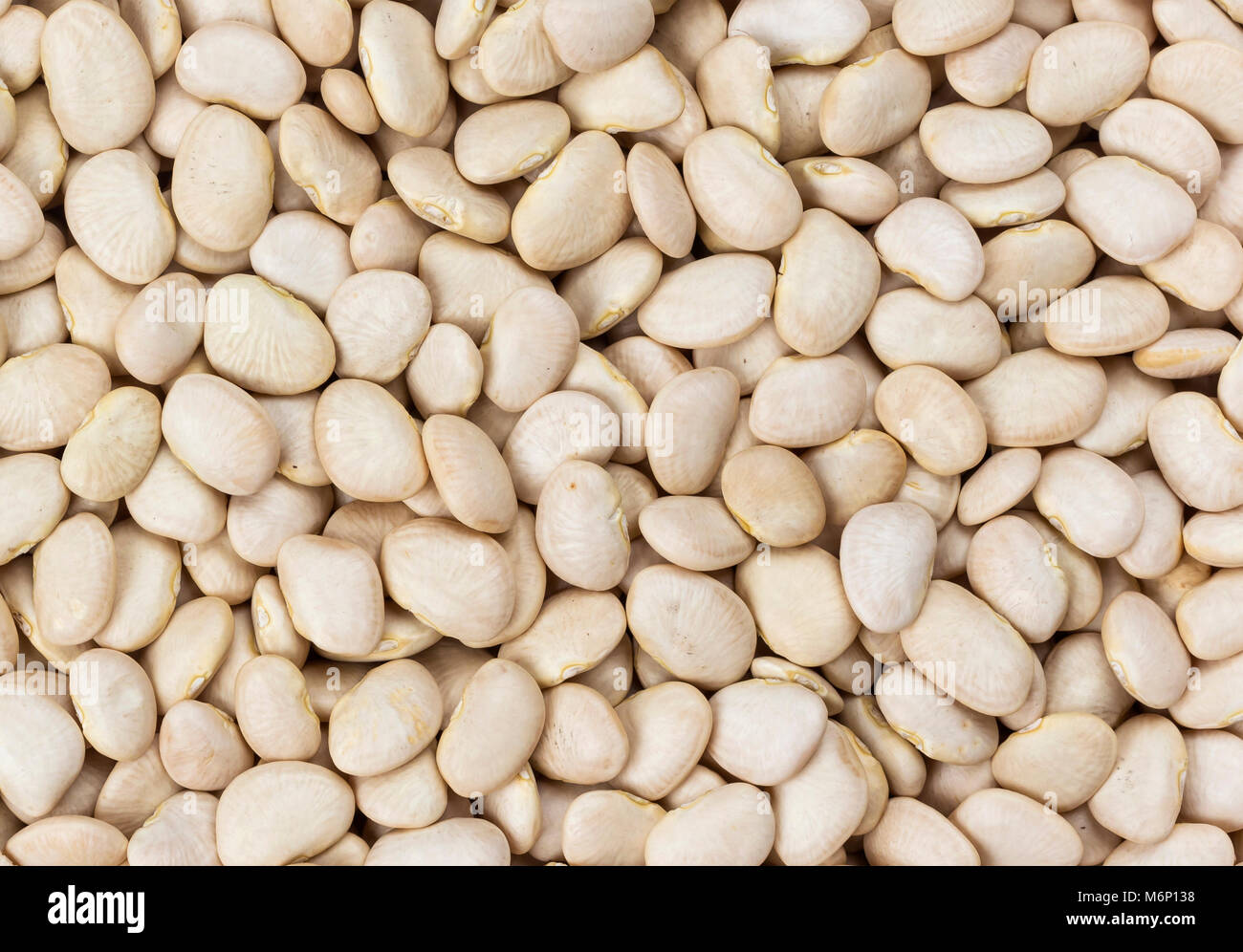 White kidney beans texture Stock Photo