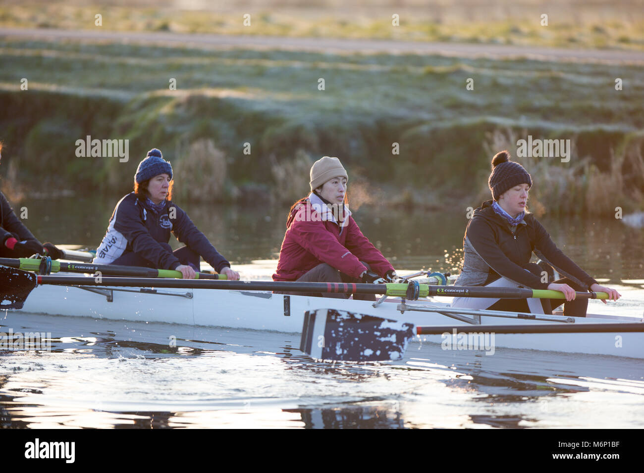 Cambridge rowing crew hires stock photography and images Alamy