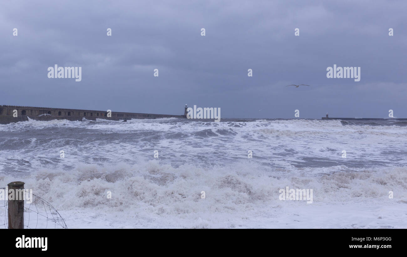 Mouth of the River Tyne Stock Photo Alamy