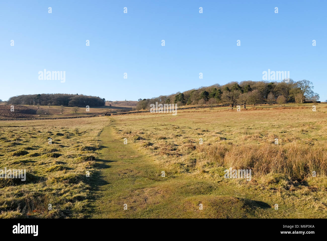 scenic view in bradgate park leicestershire Stock Photo