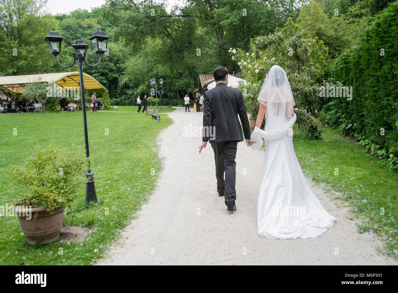 Bride and groom from the back, walking in a garden Stock Photo - Alamy