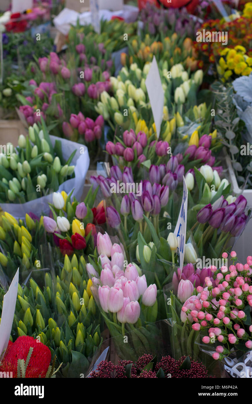 Florist detail hires stock photography and images Alamy