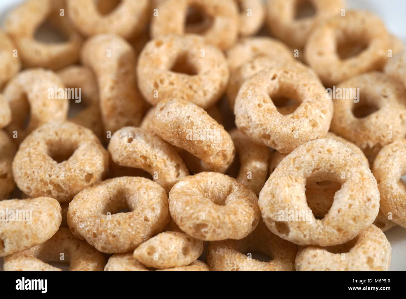 Macro close up toasted oats grain breakfast cereal. Multiple cicle shaped  Os in white bowl Stock Photo - Alamy
