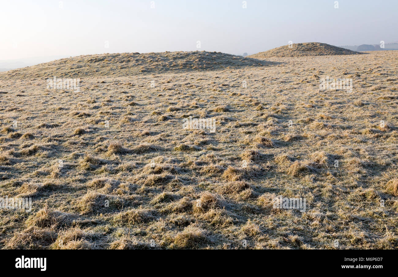 Bronze Age bowl barrow on Windmill Hill, a Neolithic causewayed enclosure, near Avebury, Wiltshire, England, UK Stock Photo