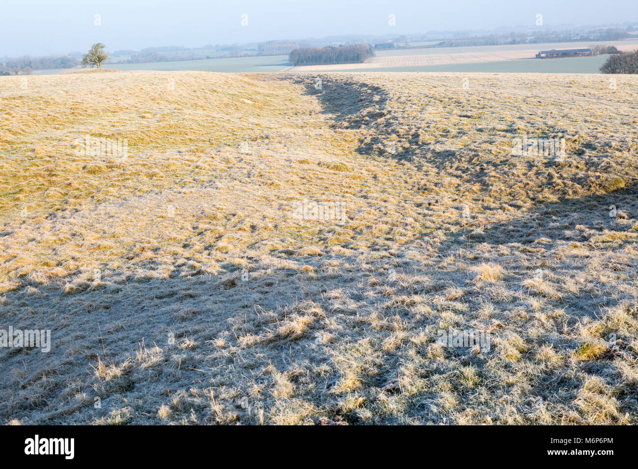 earthwork-embankments-at-windmill-hill-a-neolithic-causewayed