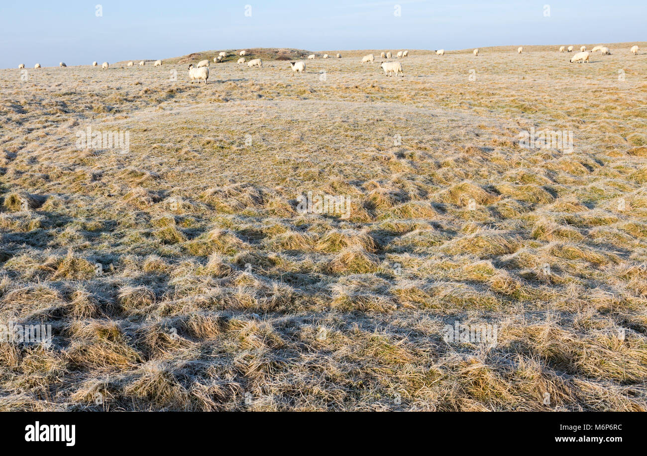 Bronze Age saucer barrow on Windmill Hill, a Neolithic causewayed