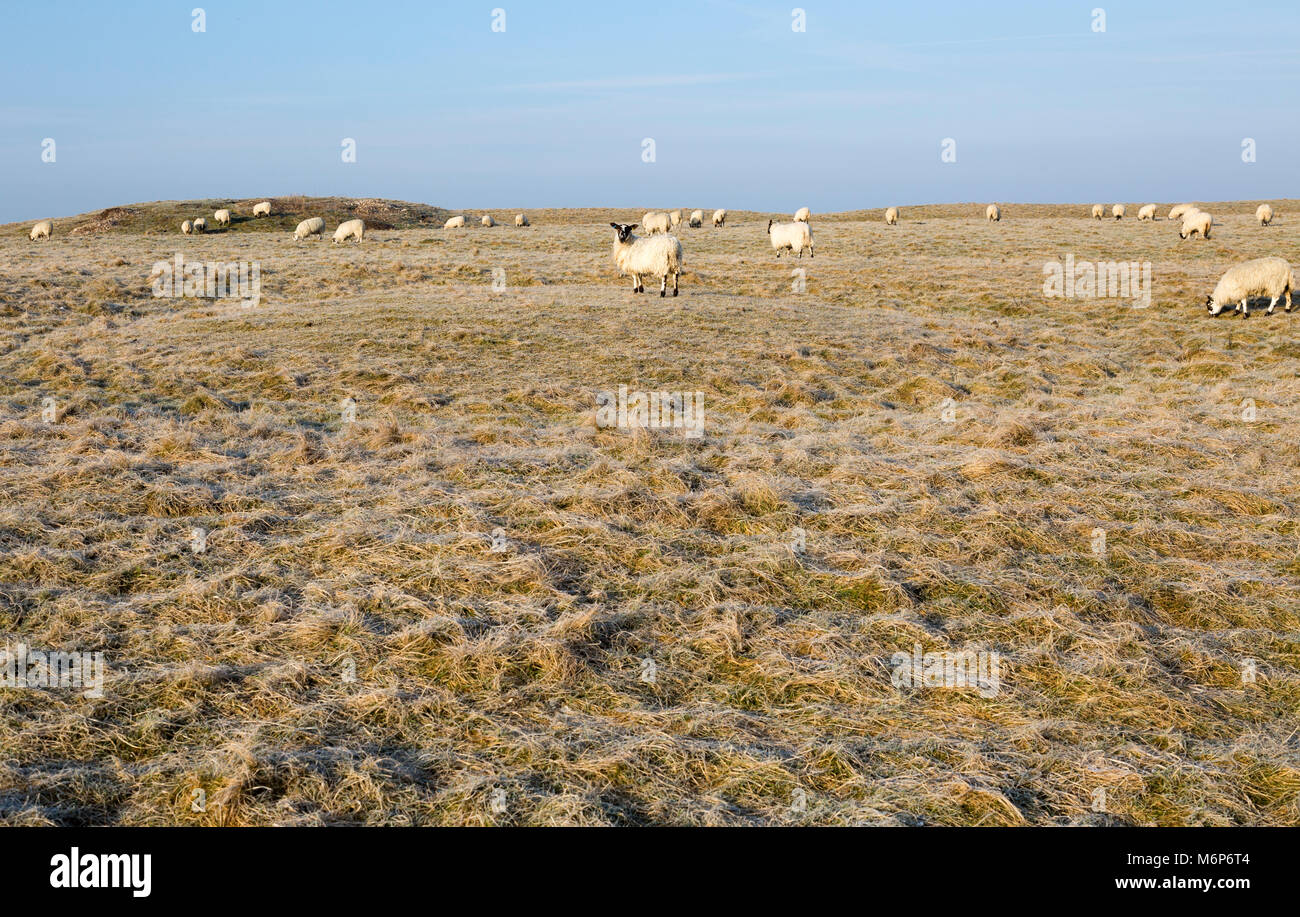 Bronze Age saucer barrow on Windmill Hill, a Neolithic causewayed
