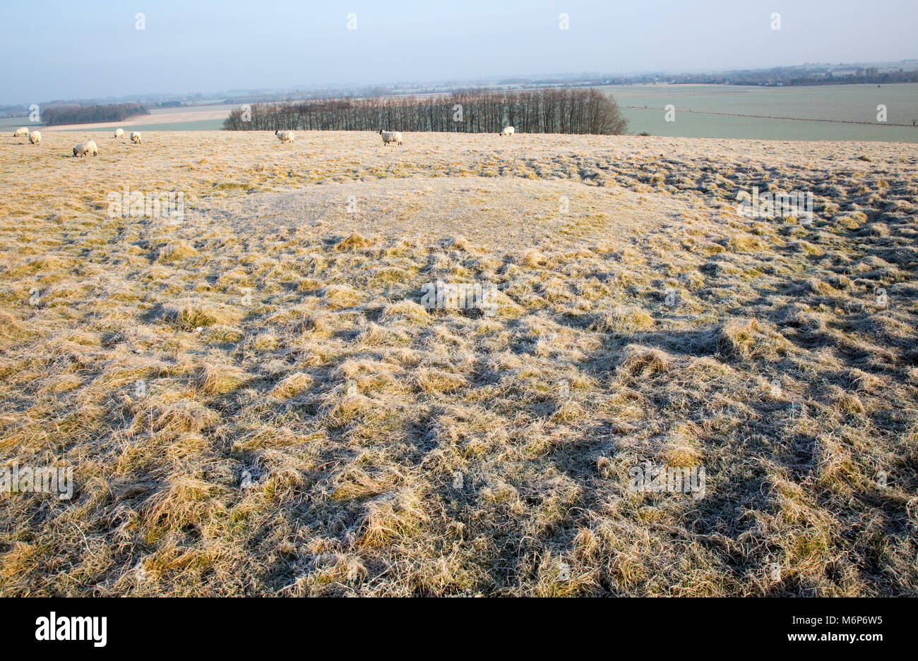 Saucer barrow hires stock photography and images Alamy