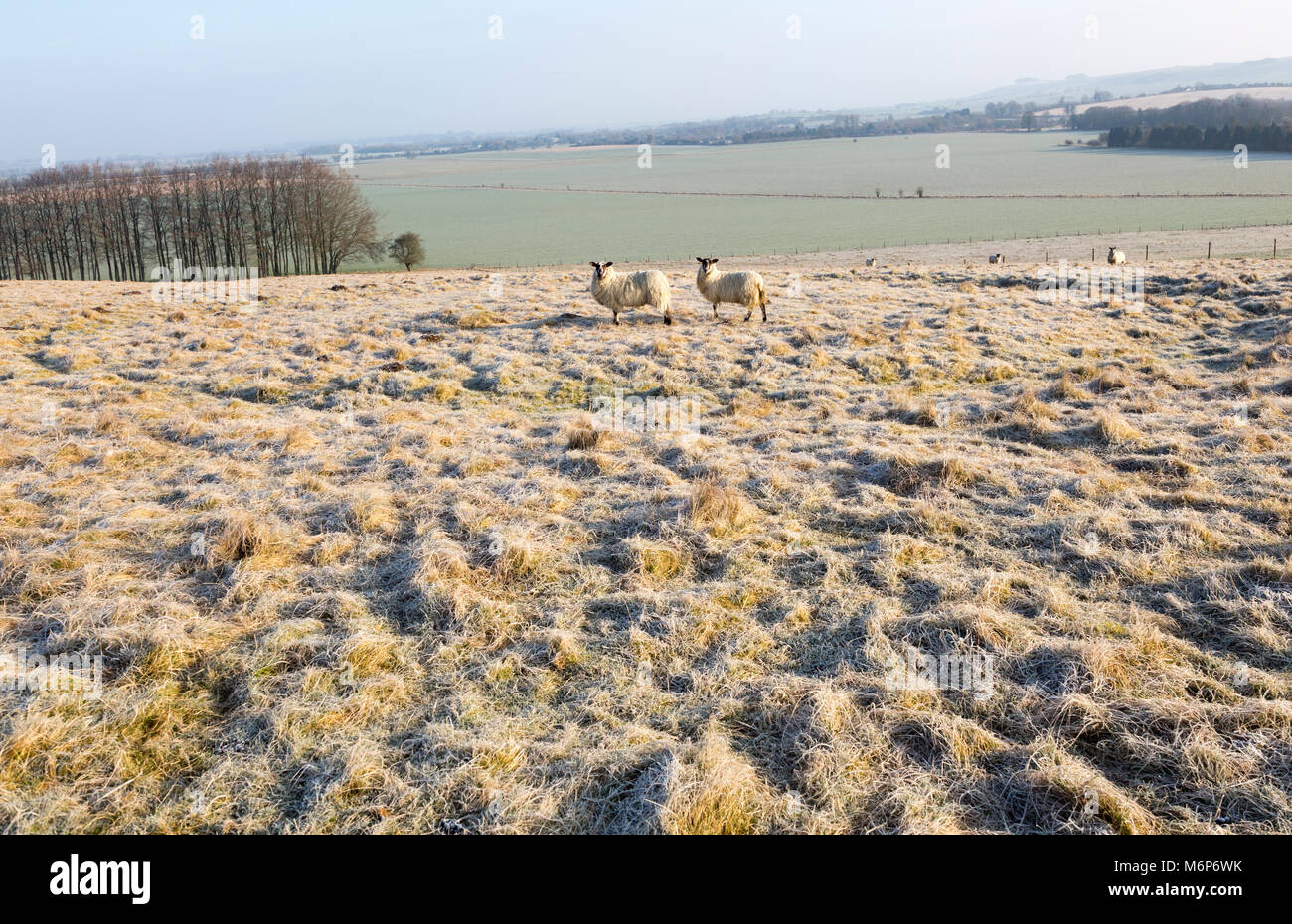 Bronze Age saucer barrow on Windmill Hill, a Neolithic causewayed