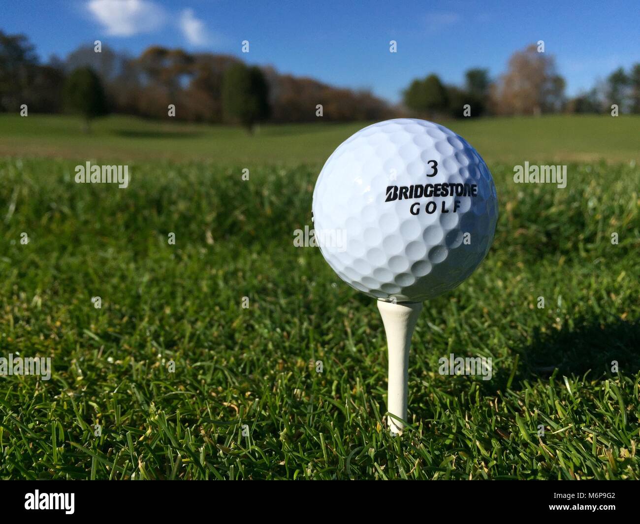 BRIDGESTONE'S NEW TOUR B PACKS INPUT OF TIGER WOODS AND