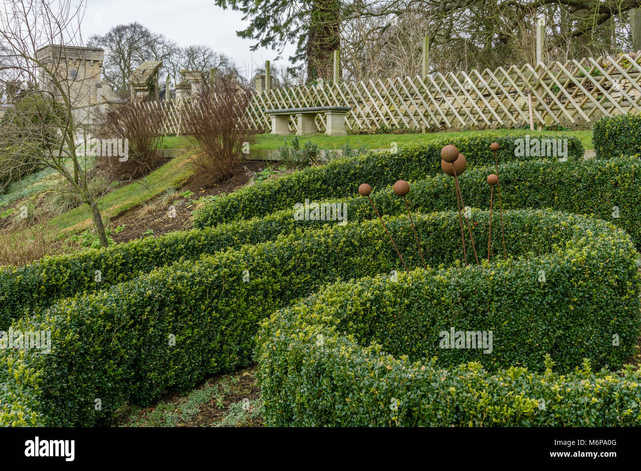 Common Box hedge grown in a curved shape, wooden trellis in the background; Easton Walled Gardens, Lincolnshire. Stock Photo