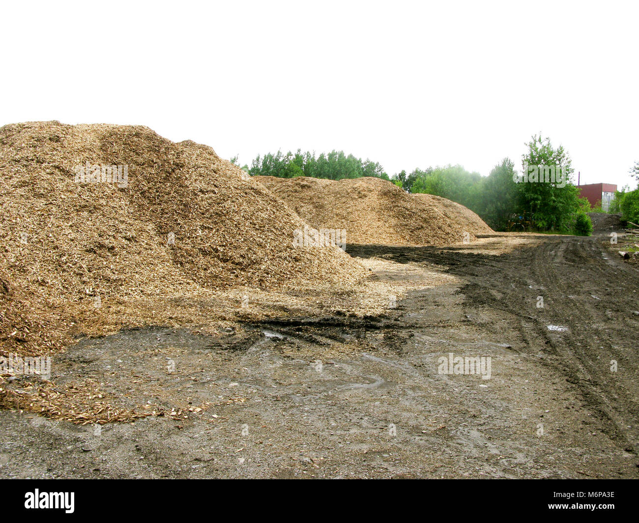 FOREST RESIDUES as wood chips store for the heating plants Stock Photo