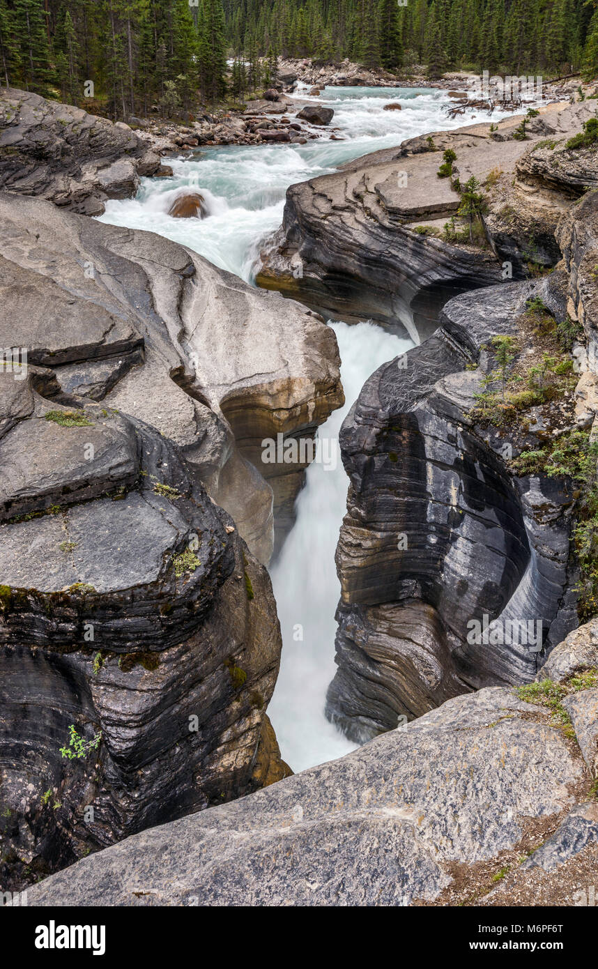 Waterfall At Mistaya Canyon Near The Icefields Parkway Banff National