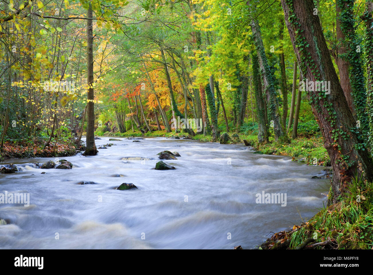 River esk at egton bridge hires stock photography and images Alamy