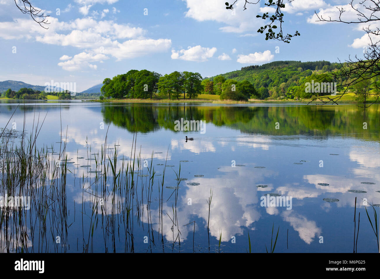 Esthwaite Water Lake District Stock Photo