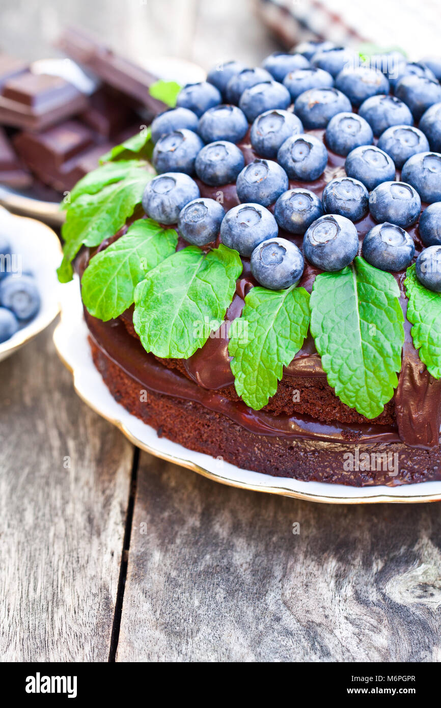 Chocolate cake with chocolate cream and fresh blueberries and mint ...